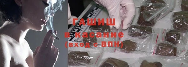 ГАЛЛЮЦИНОГЕННЫЕ ГРИБЫ Алзамай