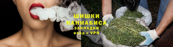 ГАЛЛЮЦИНОГЕННЫЕ ГРИБЫ Алзамай