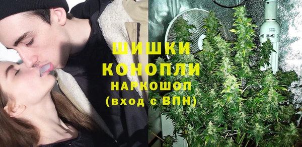 ГАЛЛЮЦИНОГЕННЫЕ ГРИБЫ Алзамай
