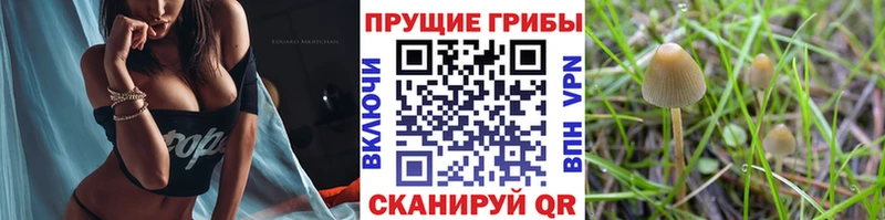 Галлюциногенные грибы мицелий Нолинск
