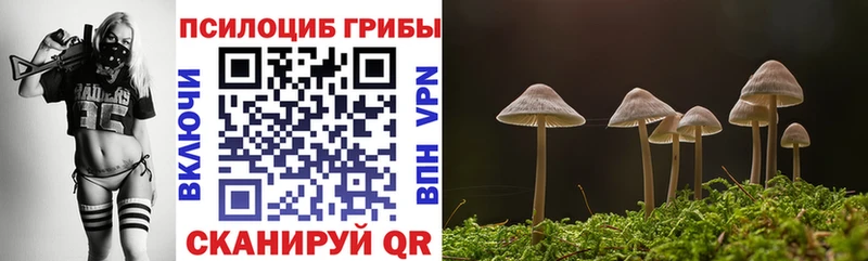 кракен ССЫЛКА  купить наркотики цена  Нолинск  Галлюциногенные грибы Psilocybine cubensis 